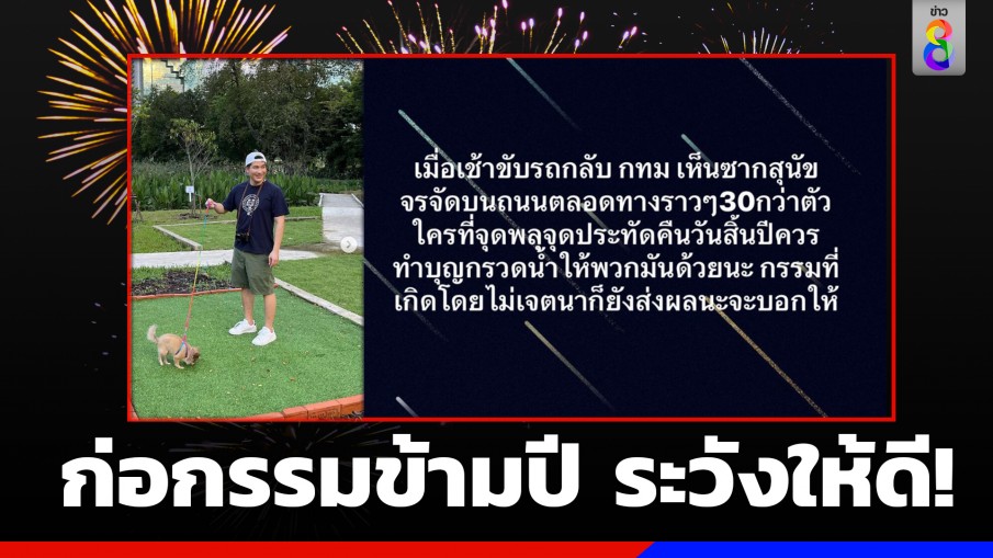 ดาราหนุ่มเตือนจุดพลุรับปีใหม่ฆ่าหมาจรจัด ทำกรรมส่งผลแรง!