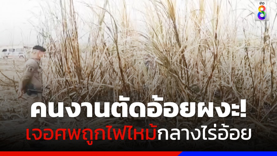 คนงานตัดอ้อยผงะ! เจอศพถูกไฟไหม้กลางไร่อ้อย 