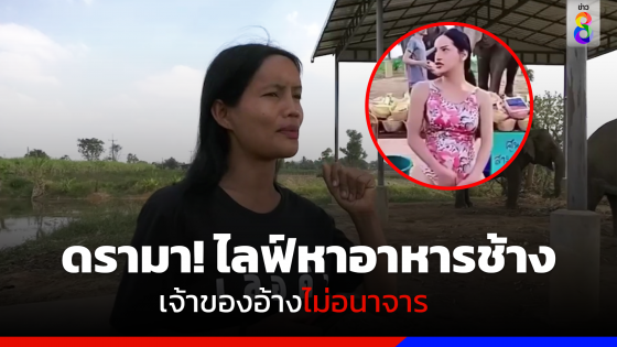 ดรามา!ไลฟ์หาอาหารช้าง เจ้าของอ้างไม่อนาจาร