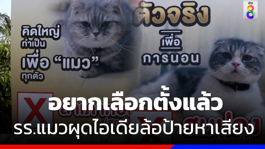 อยากเลือกตั้ง ! "โรงแรมแมว" ล้อเลียนป้ายหาเสียงพรรคการเมืองดัง 