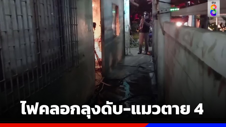 สลด! ไฟไหม้บ้านคลอกลุงวัย 78 ปี ดับ-แมวตาย 4 ตัว