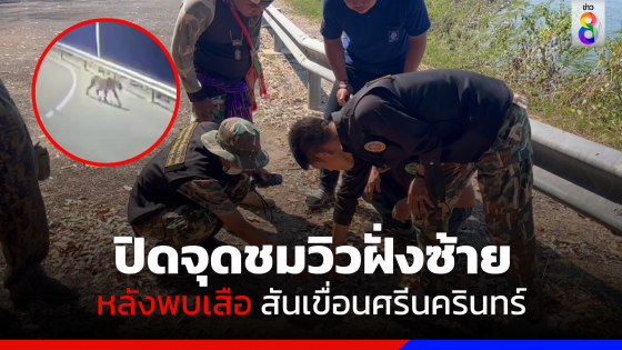 ปิดจุดชมวิวฝั่งซ้าย หลังพบเสือ สันเขื่อนศรีนครินทร์