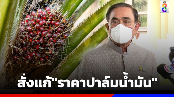 "นายกฯ" สั่งแก้ไขปัญหาสถานการณ์ราคาปาล์มน้ำมัน...