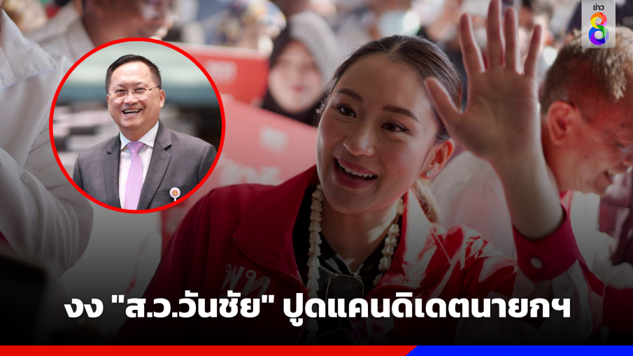 งง "ส.ว.วันชัย" ปูด อดีต รมต. "ส" แคนดิเดตนายกฯ เพื่อไทย