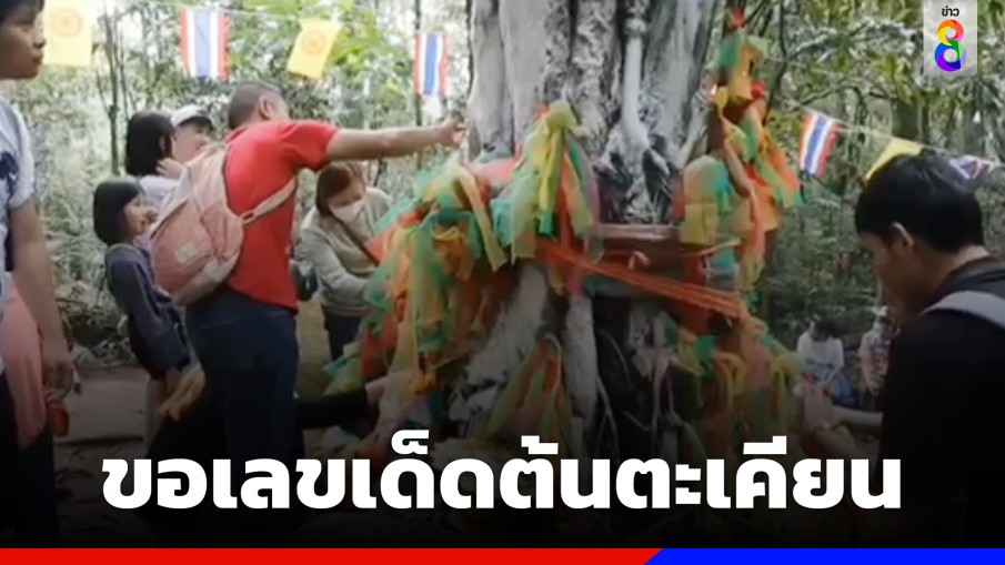 นักแสวงบุญขึ้นเขาคิชฌกูฏ ขอเลขเด็ดต้นตะเคียน