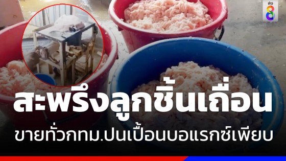 เปิดสภาพ โรงงานลูกชิ้นเถื่อน ส่งขายทั่วตลาดนัดกทม. - โรงเรียนนานาชาติ 