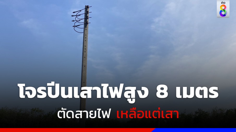 โจรชั้นสูง ปีนเสาไฟสูง 8 เมตรตัดสายไฟจนเหี้ยนเหลือแต่เสา 