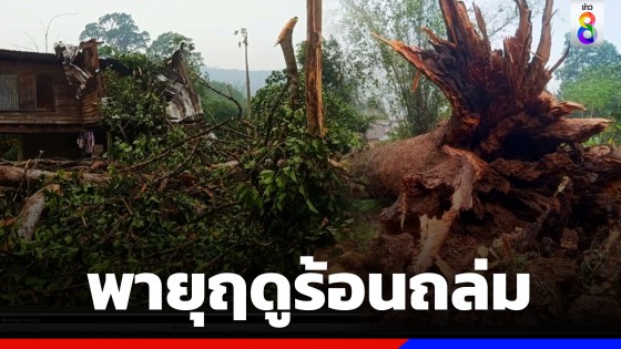 พายุฤดูร้อนถล่มพิษณุโลก ต้นยางใหญ่ อายุกว่า 100 ปี โค่นล้มทับบ้านเสียหาย