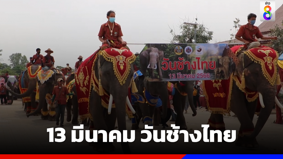 13 มีนาคม วันช้างไทย