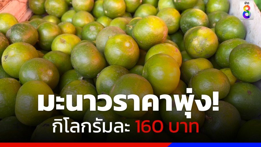 ราคามะนาว ในตลาดท่ากลาง จ.ตรัง พุ่งสูงปรี๊ด! กก.ละ 160 บาท