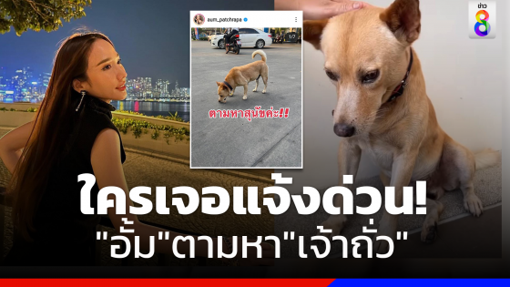 "อั้ม พัชราภา"ประกาศตามหา"เจ้าถั่ว"สุนัขริมทางที่หายไป