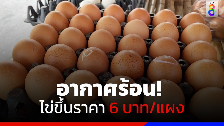 พุ่งรับอากาศร้อน! ไข่ไก่ขึ้นราคา 6 บาท/แผง