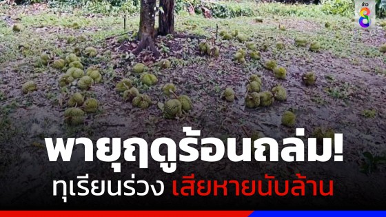 พายุฤดูร้อนกระหน่ำ! สวนทุเรียนจันทบุรี เสียหายหนักกว่า 600 ตัน