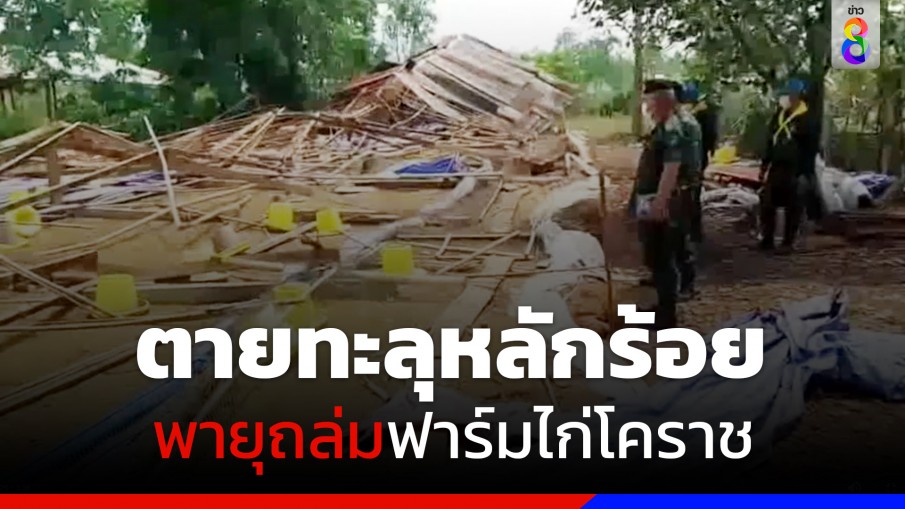 โคราชอ่วม! พายุฤดูร้อนพัดถล่มบ้าน-ไก่ในฟาร์มตายไปกว่า 100 ตัว