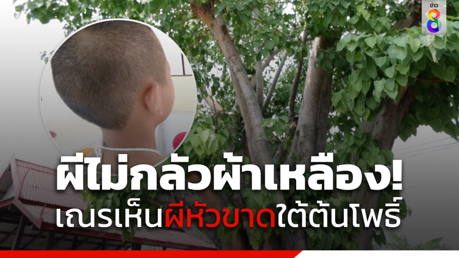 เณรเจอนางไม้ และคนไม่มีหัวใต้ต้นโพธิ์ ในวัดย่านจังหวัดสมุทรสาคร
