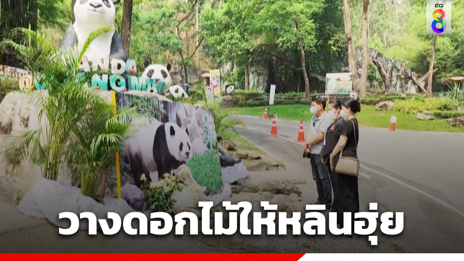 แฟนคลับอาลัย"หลินฮุ่ย"หน้ารูปปั้นสวนสัตว์เชียงใหม่