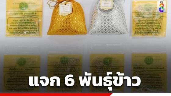 รัฐบาลเตรียมแจก 6 พันธุ์ข้าวทรงปลูกพระราชทาน วันพืชมงคลนี้!