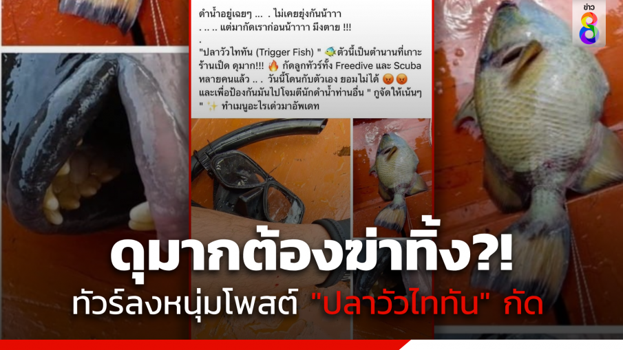 ทัวร์ลงสนั่น!! หนุ่มโพสต์ ถูก "ปลาวัวไททัน" กัด