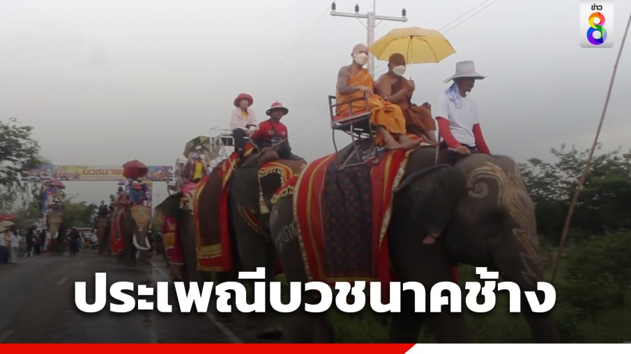 จ.สุรินทร์จัดประเพณีสุดยิ่งใหญ่ บวชนาคช้างครั้งที่ 18