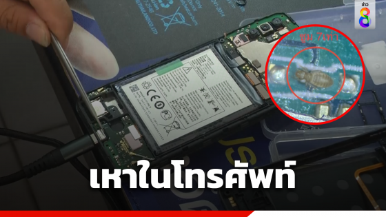 เตือนเจอเหาในโทรศัพท์