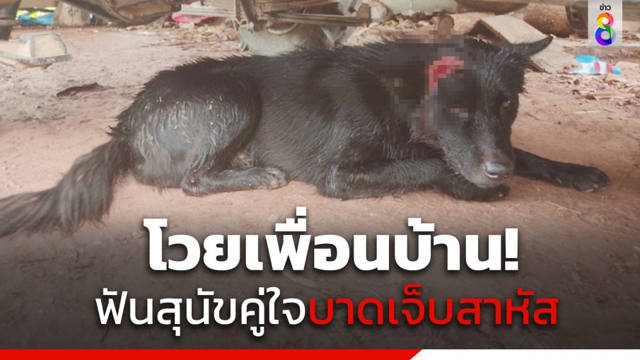 โวยเพื่อนบ้าน! ใช้มีดฟันสุนัขคู่ใจ บาดเจ็บสาหัส 5 แผล