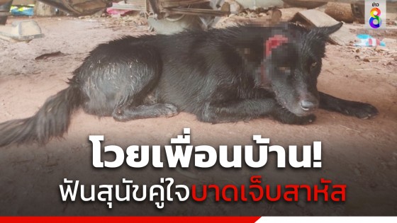 โวยเพื่อนบ้าน! ใช้มีดฟันสุนัขคู่ใจ บาดเจ็บสาหัส 5 แผล