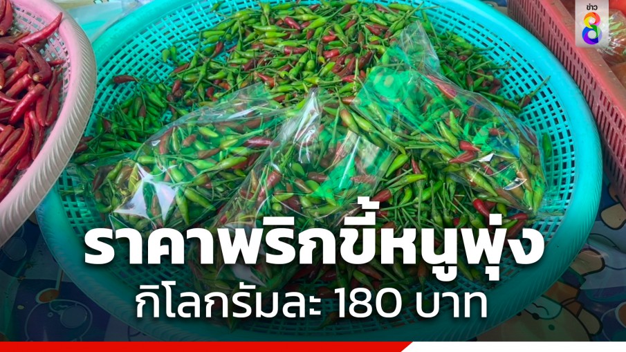 ขอนแก่น "พริกขี้หนู" ราคาพุ่งกิโลละ 180 บาท