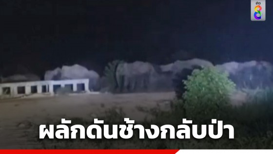 ระดมชาวบ้าน-เจ้าหน้าที่ผลักดันช้างป่าทับลาน 60 ตัว