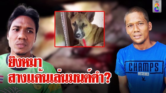 ยิงหมา สางแค้นเล่นมนต์ดำ?