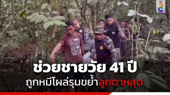 ช่วย 7 ชั่วโมง! ชายวัย 41 ปี ขึ้นเขาหาของป่า เจอหมีโผล่รุมตะปบ-กัดหน้า...