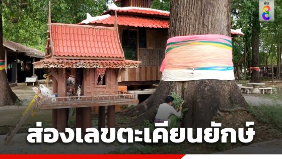 ชาวบ้านแห่ขอโชค! ต้นตะเคียนยักษ์ อายุเกือบพันปี ใจกลางชุมชน จ.ราชบุรี 