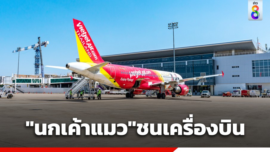 "นกเค้าแมว" ชนเครื่องบิน! ไปต่อไม่ได้ 159 ชีวิตตกค้าง สายการบินต้องส่งลำใหม่มารับ
