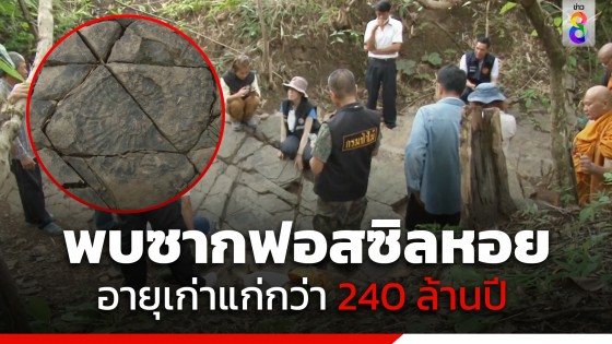 ฮือฮา! พบสุสานหอยดึกดำบรรพ์อายุ 240 ล้านปี ในพื้นที่ อ.แจ้ห่ม...