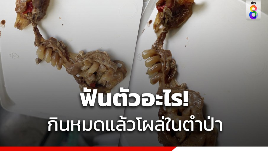 อวสานตำป่าปลาร้า เจอฟันเรียงสวยหลังกินเสร็จแล้ว