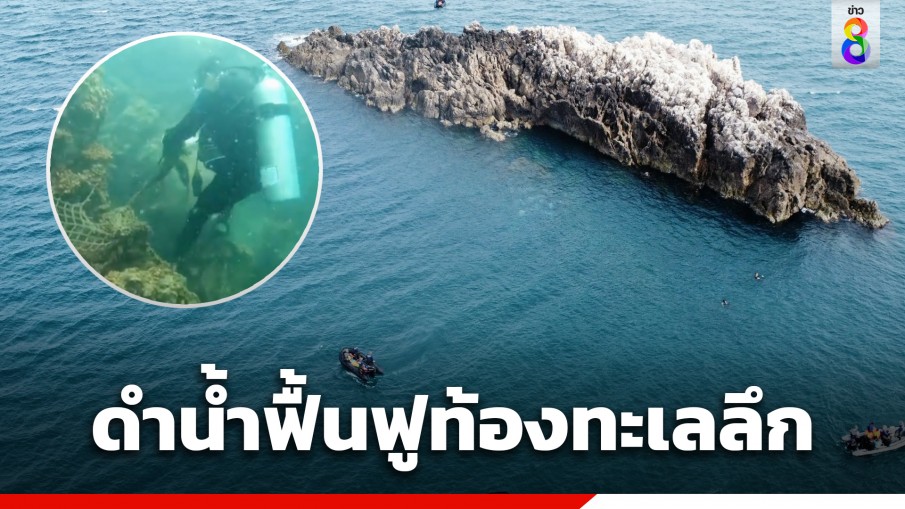 "มนุษย์กบ" ดำน้ำฟื้นฟูทรัพยากรธรรมชาติทางทะเล ที่เกาะในตำนาน จ.ปัตตานี
