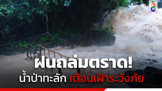 ฝนถล่มตราด! น้ำป่าทะลักสู่น้ำตกคลองแก้ว และเขาปีกกา...