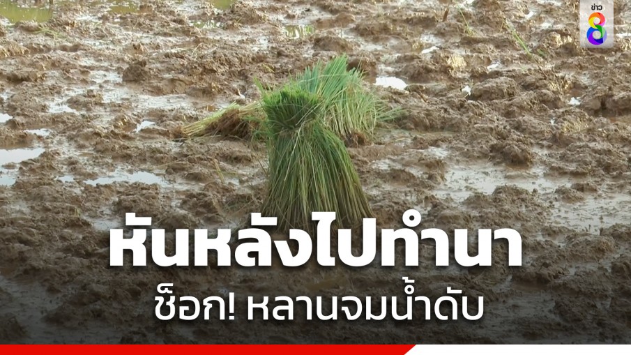 ย่าช็อก! หันหลังไปทำนา หลาน 4 ขวบ จมน้ำดับ