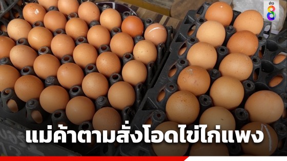 แม่ค้าตามสั่งโอด ไข่ไก่ขึ้นราคา 15 วัน 2 ครั้ง วอนรัฐรีบแก้ไขปัญหา