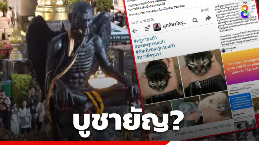 "วอชด็อก"เร่งตรวจสอบ"ลัทธิกายแก้ว"ตระเวนขอรับลูกหมาลูกแมวบูชายัญในโซเชียล จนมีการวิพากษ์วิจารณ์อย่างกว้างขวาง 