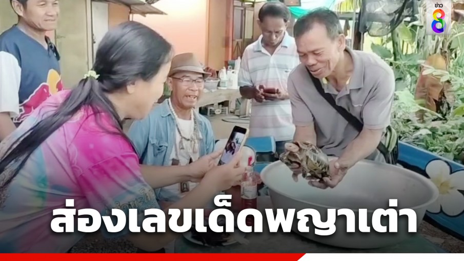 โค้งสุดท้าย แห่ส่องเลขเด็ด "พญาเต่าปากแดง" ที่จ.ปราจีนบุรี