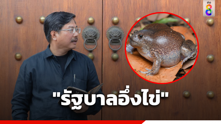 "พิชาย" ตั้งฉายา "รัฐบาลอึ่งไข่" 