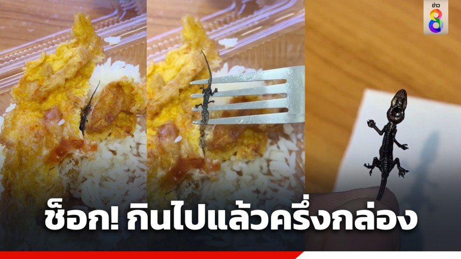 หนุ่มช็อก! สั่งข้าวไข่เจียวหมูสับ แถมจิ้งจกทอดกรอบ