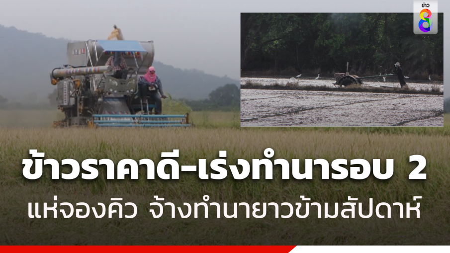 ข้าวราคาดี! แห่จองคิวแรงงานรับจ้างทำนายาวข้ามสัปดาห์