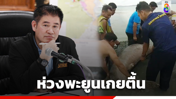 "ธรรมนัส" ห่วงพะยูนเกยตื้นตาย สั่งด่วนกรมประมงแก้ปัญหา