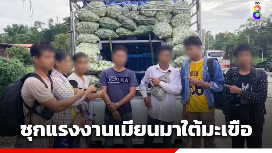 จับรถกระบะดัดแปลง อัดแรงงานต่างด้าวลอบเข้าเมือง ซุกใต้ถุงมะเขือ 6 คน