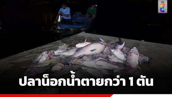 ครั้งแรกในรอบ 100 ปี! ปลาน็อกน้ำตายกว่า 1 ตัน ในสระน้ำศักดิ์สิทธิ์