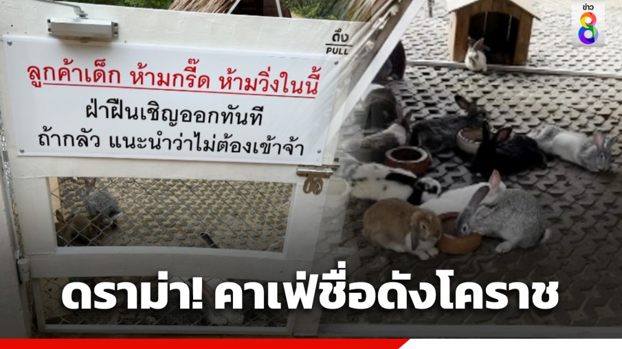 ดราม่า! คาเฟ่ชื่อดังที่โคราช ขึ้นป้ายห้ามเด็กวิ่ง-กรี๊ด ในคอกกระต่าย