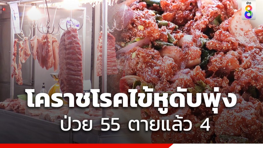 โคราชวุ่น ป่วยไข้หูดับ 55 ราย ตายแล้ว 4 - สคร.9 หวั่น ประชาชนเจอหมูติดเชื้อ