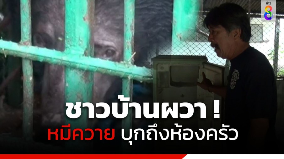 ชาวบ้านผวา!  หมีควายบุกถึงในห้องครัว