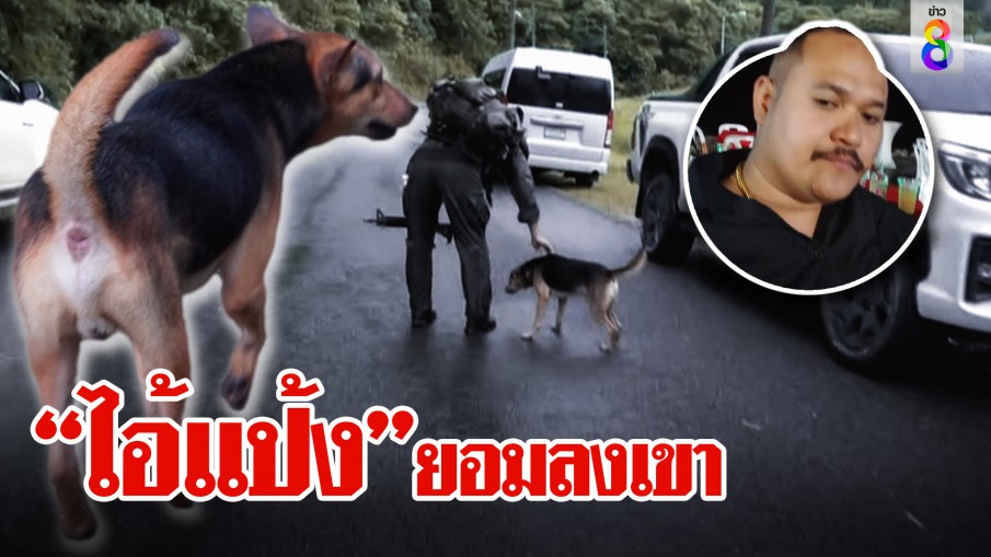 ตั้งชื่อหมา "ไอ้แป้ง" ใจเด็ดแปรพักตร์มาอยู่ทีมตำรวจ มั่นใจเสี่ยซ่อนในป่า
